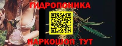 ALPHA PVP Ярославль
