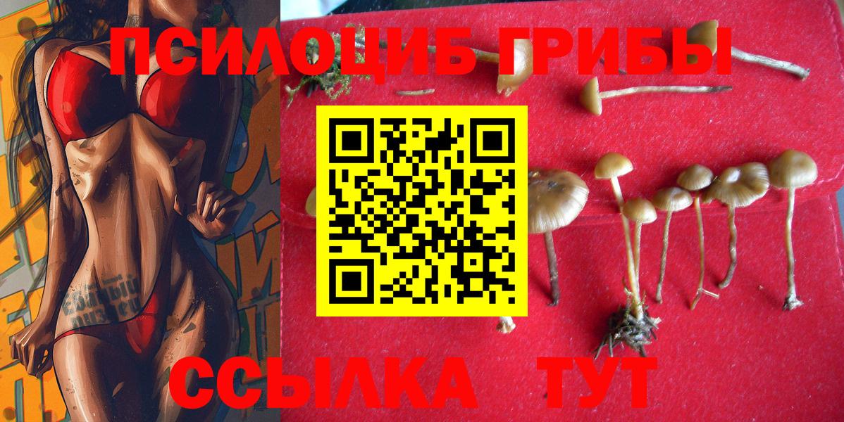 Псилоцибиновые грибы ЛСД  Вход с VPN  Дербент 