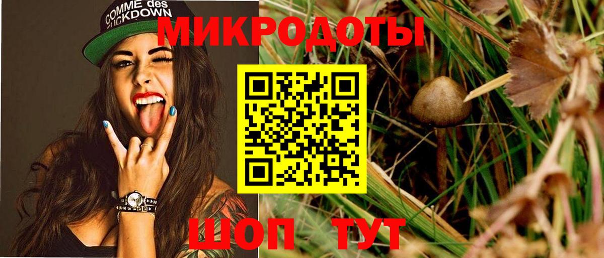 Псилоцибиновые грибы ЛСД Дербент