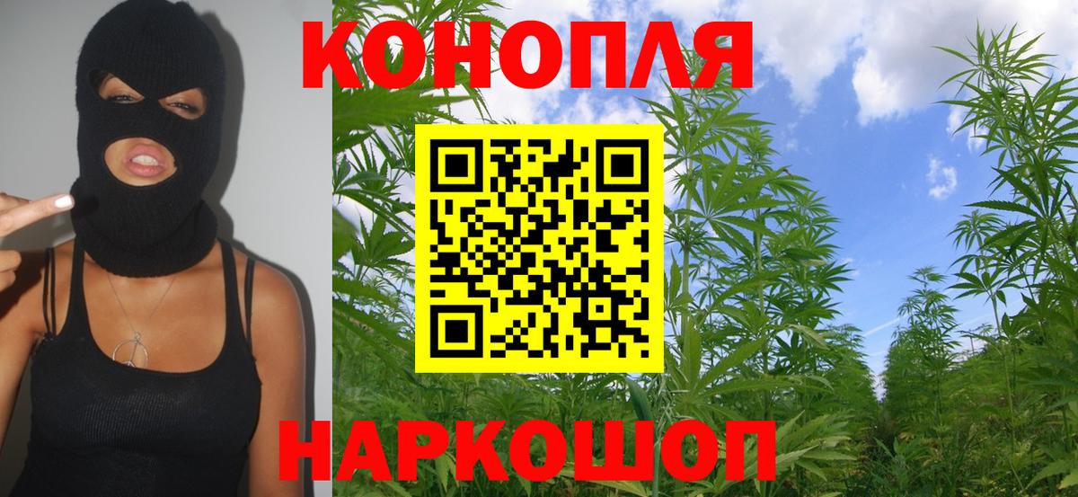Бошки марихуана план  Шишки марихуана MAZAR  Дербент  Вход с VPN  Каннабис сатива 